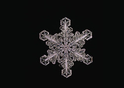 Fractals: The Koch Snowflake Instructional Video