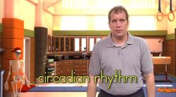 A Healthy Schedule Instructional Video