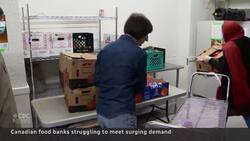 Food bank usage expected to increase 60% in 2023: report News Clip