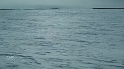 India alleges Canadian colleges linked to trafficking of foreign students News Clip