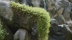 Waterfall in slow motion 180fps Stock Footage