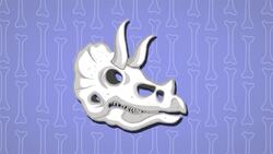 I WONDER - Are Fossils The Same As Bones? Instructional Video