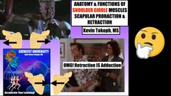 Anatomy & Physiology of Scapular Protraction (Abduction) & Retraction (Adduction) Instructional Video