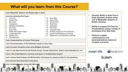 Data Analytics using Python Visualizations - What You Will Learn Instructional Video