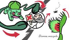 The Best Pokémon (According to Science) Instructional Video