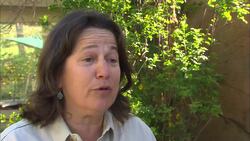 This Lion Cub Playing With Friends Is The Most Adorable Thing You’ll See All Day! Instructional Video