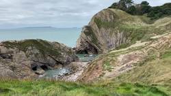 Meganeura, The Prehistoric Dragonfly Instructional Video