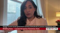 Canada recognized Palestine to ensure 2-state solution remains viable: Anand News Clip