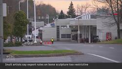 Gallery charged for alleged sale of art made from endangered species News Clip