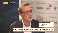 Topsoe's Kim Hedegaard at Ecosperity News Clip
