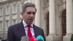 Irish deputy premier says ‘genocide cannot be forgotten’ as he announces funding for Gaza News Clip