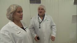 Legalizing recreational marjiuana in Canada and what's at stake News Clip