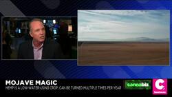 Mojave Desert-Raised Organic Hemp Coming This Year, Says Cadiz CEO News Clip