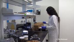 Scientists may have found a way to destroy 'forever chemicals' in water Instructional Video