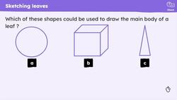 Draw the rainforest: studies of plants and leaves Instructional Video