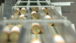 MEPs want further investigations into misuse of EU funds in Slovakia News Clip