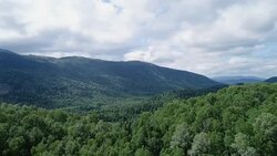 A view from above of wildlife. Stock Footage