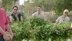 A Special 50th Special Birthday for This Amazing Elephant Instructional Video