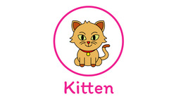 Learn To Draw A Kitten Instructional Video