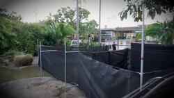 The Great Flamingo Roundup Is One of the Coolest Things You’ll See All Day! Instructional Video