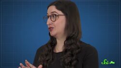 No, Your Dog Doesn't Think You're the "Alpha" Instructional Video