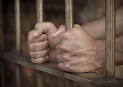 The Prisoner's Dilemma Instructional Video