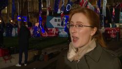 Protesters outside parliament react to Brexit votes Instructional Video