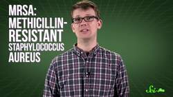 Cockroaches, Alligators & Other Weird Sources of New Drugs Instructional Video