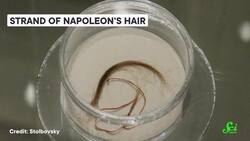 REALLY Cold Cases Cracked by Science Instructional Video