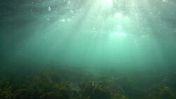 NASA's ICESat-2 Looks Beyond the Icy Poles Instructional Video