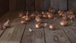 Bow falls on the Board Stock Footage