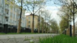 CLEAN : Empty streets of Grozny, Chechnya under lockdown News Clip