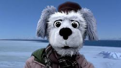 Animal Alphabet: L is for Leopard Seal Instructional Video