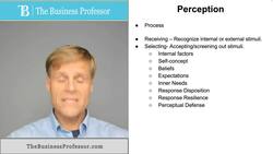 Perception Instructional Video