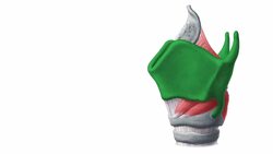 Schildknorpel (Cartilago thyroidea) Instructional Video