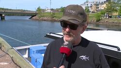 Low catches and prices causing stress on P.E.I.'s spring lobster fishermen News Clip