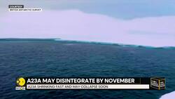 World's Biggest Iceberg: Frozen Giant A23A Breaking Apart | WION News Clip