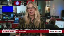 B.C. officials confirm 120 active wildfires across the province News Clip