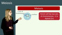 Introduction to Meiosis and Gamete Formation Instructional Video