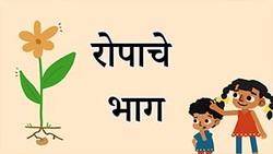 Introduction to Parts of the plant - Marathi Instructional Video