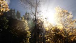 I WONDER - How Do We See Colours? Instructional Video