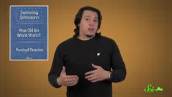 3 Discoveries You Missed Because of COVID Instructional Video