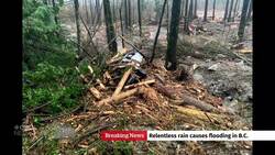 What it was like to spend the night stranded on a B.C. highway News Clip