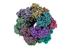 Enzyme Instructional Video