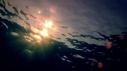 Energy from the Sun Instructional Video