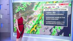STORM WATCH: Tornado watch in effect as remnants of Debby cross through New Jersey Instructional Video