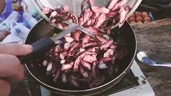 Squid Basil on pan Stock Footage