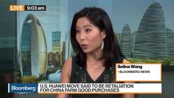 U.S. Holds Off on Huawei Licenses, Huawei Builds Own Operating System6 News Clip