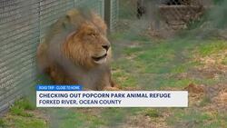Road Trip: Popcorn Park Zoo and Refuge News Clip