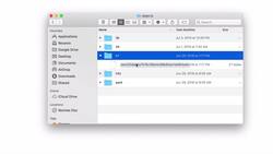 Complete Git Guide: Understand and Master Git and GitHub - Number of Folders Created for Objects Instructional Video